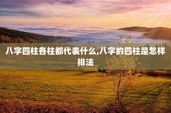 八字四柱各柱都代表什么,八字的四柱是怎样排法