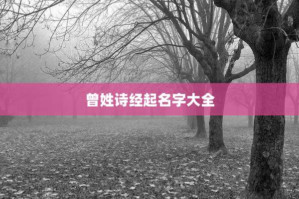 曾姓诗经起名字大全