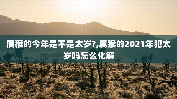属猴的今年是不是太岁?,属猴的2021年犯太岁吗怎么化解
