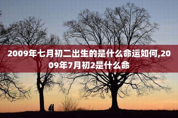 2009年七月初二出生的是什么命运如何,2009年7月初2是什么命