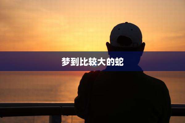 梦到比较大的蛇