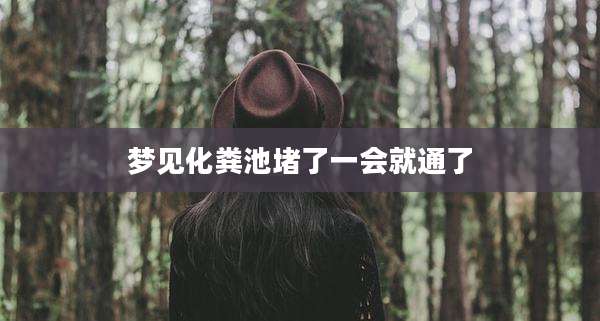 梦见化粪池堵了一会就通了