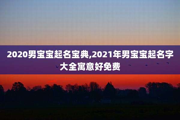 2020男宝宝起名宝典,2021年男宝宝起名字大全寓意好免费
