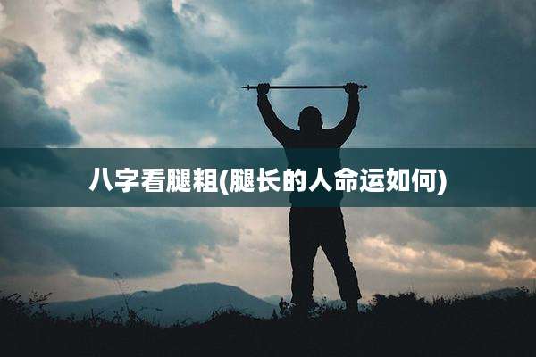 八字看腿粗(腿长的人命运如何)