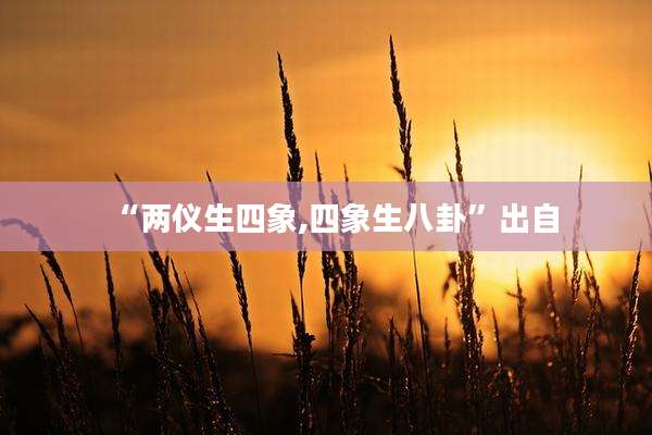 “两仪生四象,四象生八卦”出自