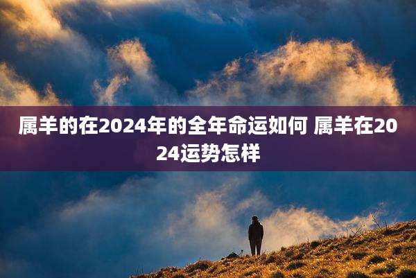 属羊的在2024年的全年命运如何 属羊在2024运势怎样