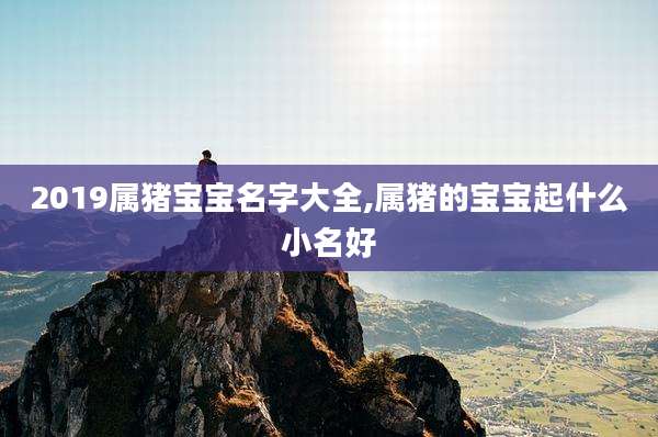 2019属猪宝宝名字大全,属猪的宝宝起什么小名好