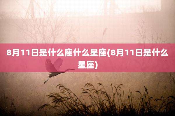 8月11日是什么座什么星座(8月11日是什么星座)
