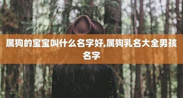 属狗的宝宝叫什么名字好,属狗乳名大全男孩名字