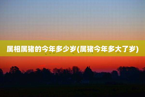 属相属猪的今年多少岁(属猪今年多大了岁)