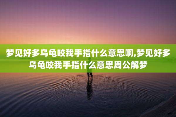 梦见好多乌龟咬我手指什么意思啊,梦见好多乌龟咬我手指什么意思周公解梦