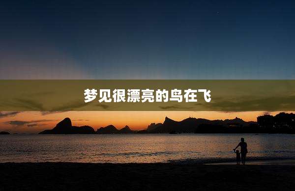梦见很漂亮的鸟在飞