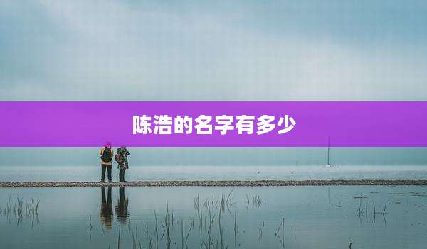 陈浩的名字有多少