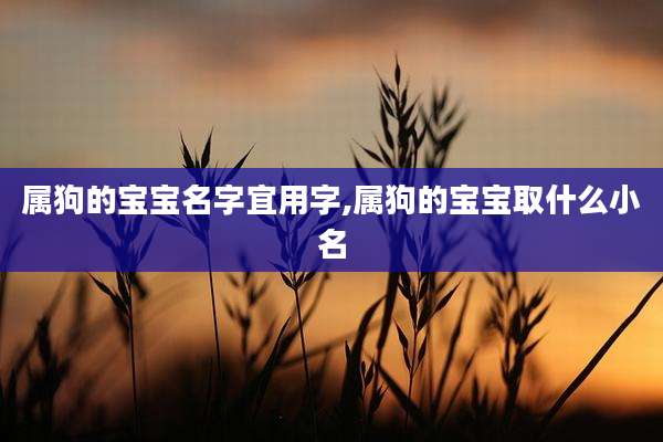属狗的宝宝名字宜用字,属狗的宝宝取什么小名