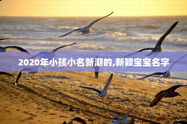 2020年小孩小名新潮的,新颖宝宝名字