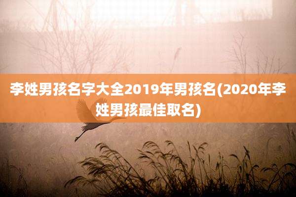 李姓男孩名字大全2019年男孩名(2020年李姓男孩最佳取名)