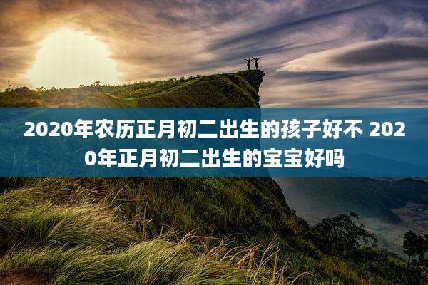 2020年农历正月初二出生的孩子好不 2020年正月初二出生的宝宝好吗