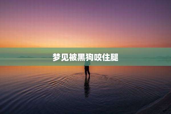 梦见被黑狗咬住腿
