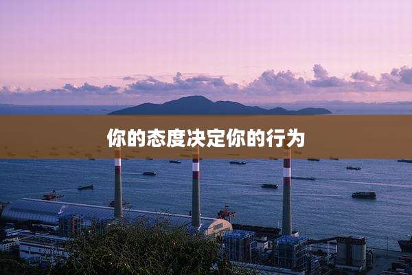 你的态度决定你的行为