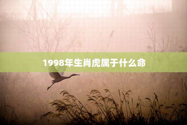 1998年生肖虎属于什么命