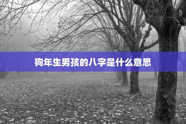 狗年生男孩的八字是什么意思