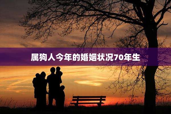 属狗人今年的婚姻状况70年生