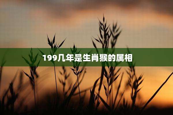 199几年是生肖猴的属相