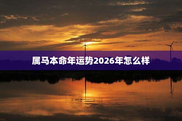 属马本命年运势2026年怎么样