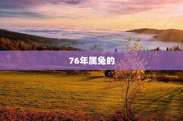 76年属兔的