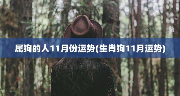 属狗的人11月份运势(生肖狗11月运势)