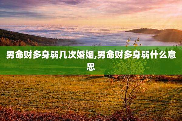男命财多身弱几次婚姻,男命财多身弱什么意思