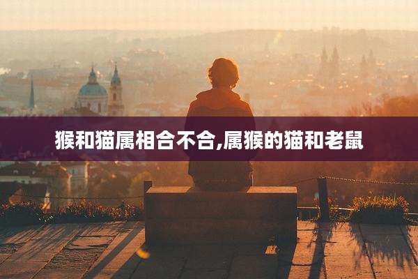 猴和猫属相合不合,属猴的猫和老鼠