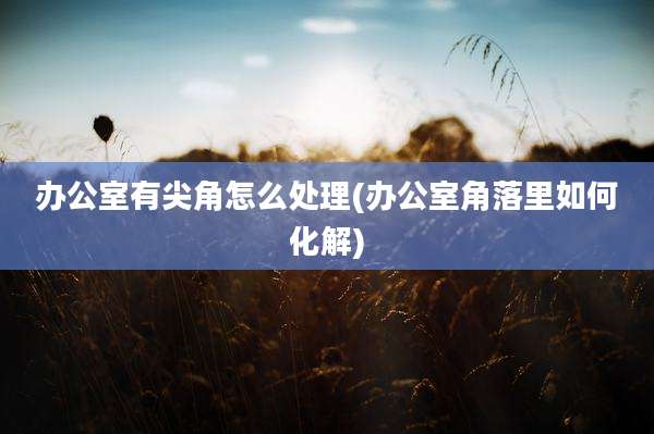 办公室有尖角怎么处理(办公室角落里如何化解)