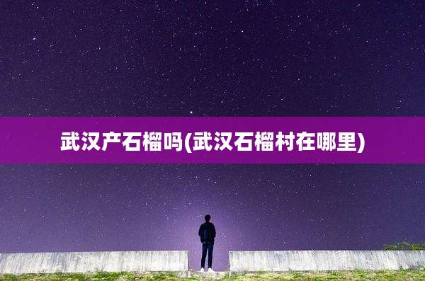 武汉产石榴吗(武汉石榴村在哪里)