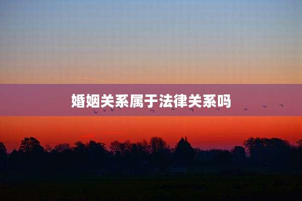 婚姻关系属于法律关系吗