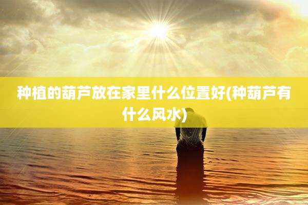 种植的葫芦放在家里什么位置好(种葫芦有什么风水)