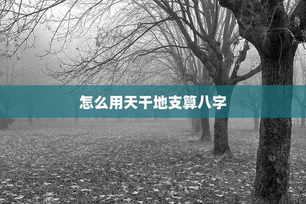怎么用天干地支算八字