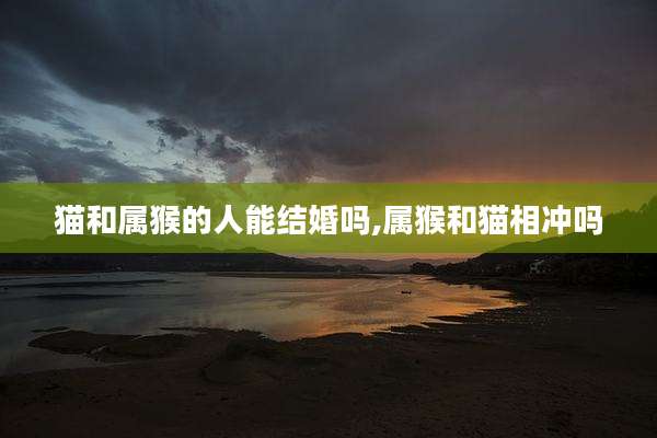 猫和属猴的人能结婚吗,属猴和猫相冲吗