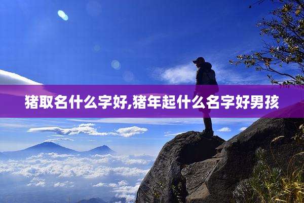 猪取名什么字好,猪年起什么名字好男孩
