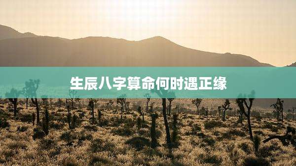 生辰八字算命何时遇正缘
