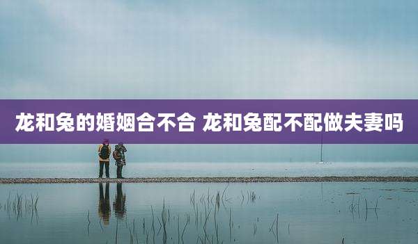 龙和兔的婚姻合不合 龙和兔配不配做夫妻吗