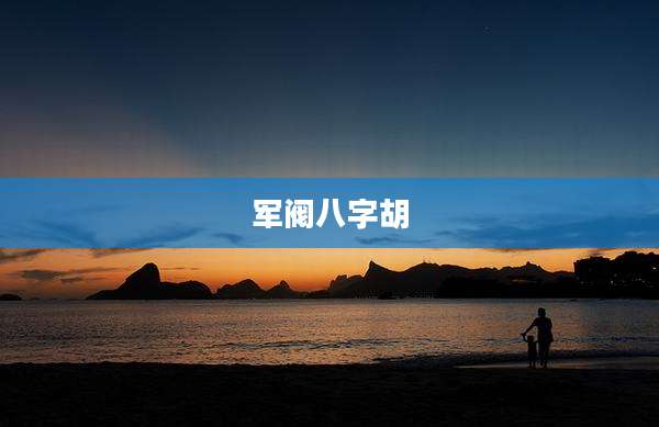 军阀八字胡