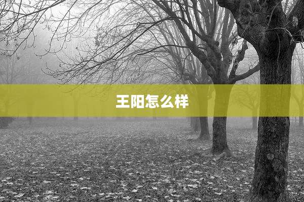 王阳怎么样