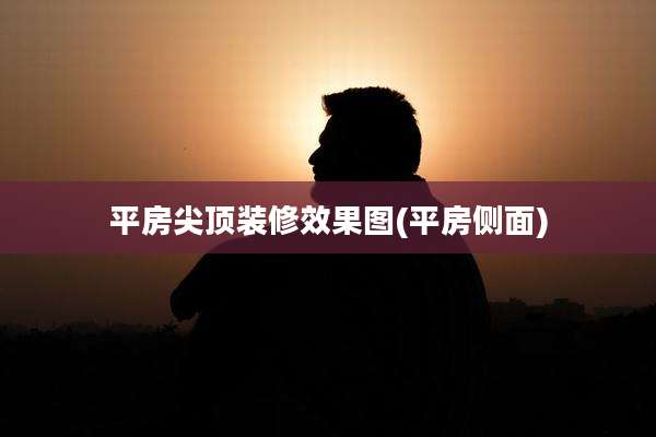 平房尖顶装修效果图(平房侧面)