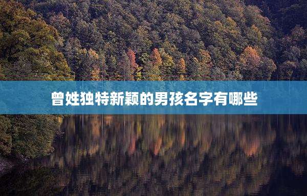 曾姓独特新颖的男孩名字有哪些