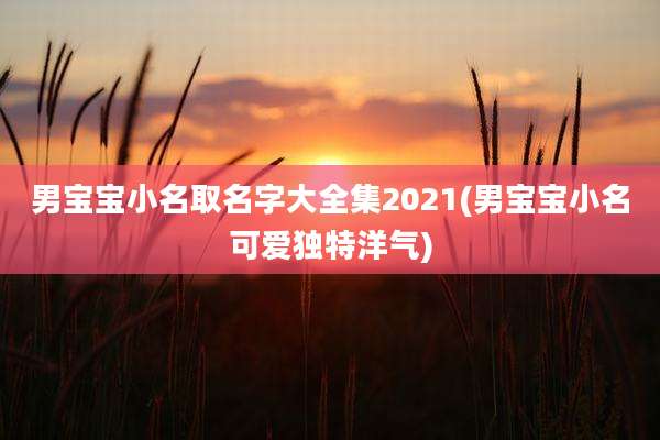 男宝宝小名取名字大全集2021(男宝宝小名可爱独特洋气)