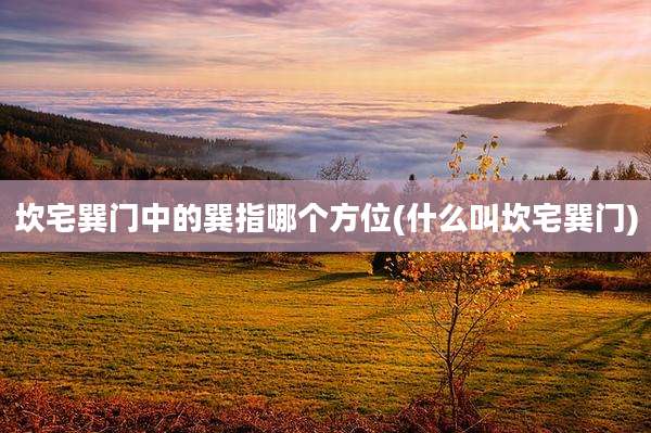坎宅巽门中的巽指哪个方位(什么叫坎宅巽门)