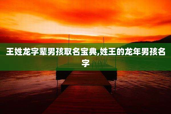 王姓龙字辈男孩取名宝典,姓王的龙年男孩名字