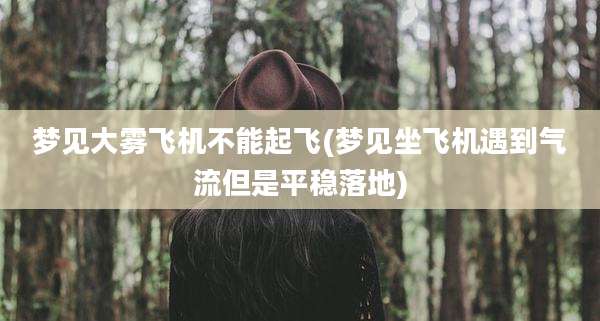 梦见大雾飞机不能起飞(梦见坐飞机遇到气流但是平稳落地)