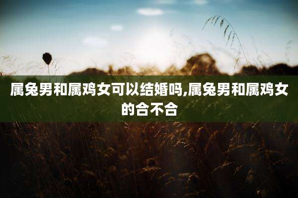属兔男和属鸡女可以结婚吗,属兔男和属鸡女的合不合